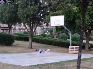 Il campo nel 2009 (foto R. Quartarone)